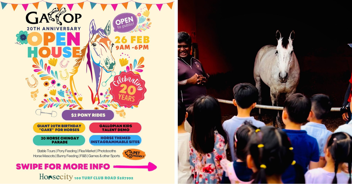 Gallop Stable 20 Years Anniversary Open House with $2 Pony Rides, Pony Feeding and More!