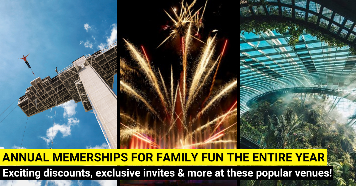 8 Best Annual Family Memberships You Should Own in 2024