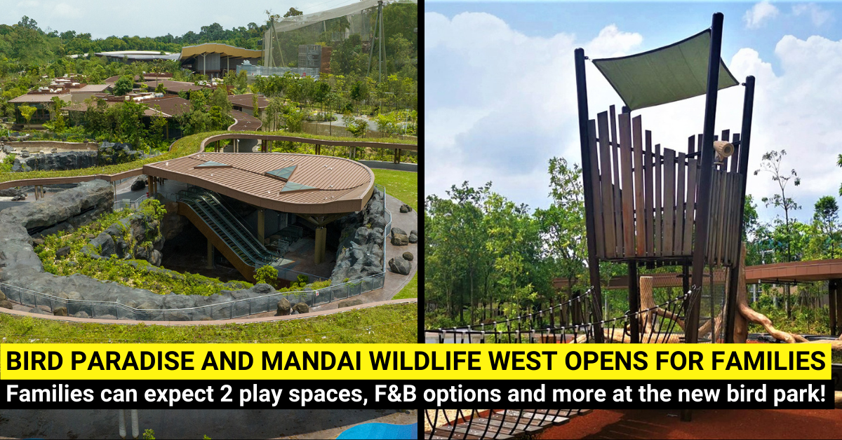 Singapore's Bird Paradise and Mandai Wildlife West - Here's What Families Can Expect