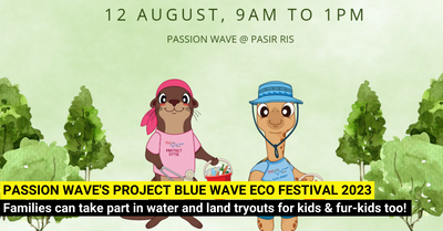 Water Sports and Games at the PAssion Wave’s Project Blue Wave Eco Festival