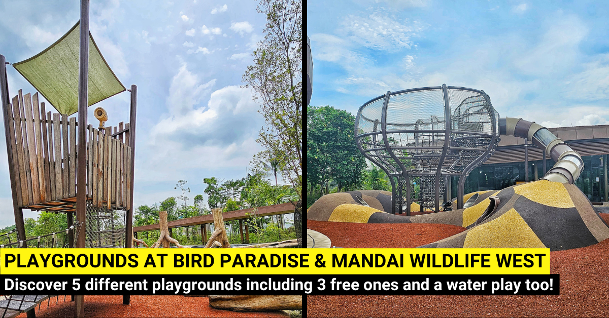 Photo inspiration: Gallery Detail: Family S Guide To Playgrounds At Bird Paradise And Mandai