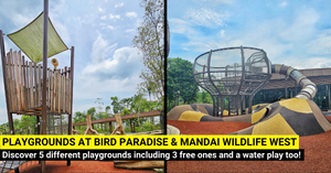 Family's Guide To Playgrounds at Bird Paradise and Mandai Wildlife West
