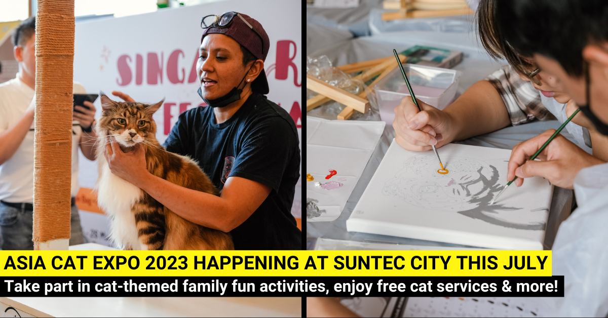 Take Part in Cat-themed Family Fun Activities at the Asia Cat Expo 2023