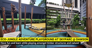 Eco-Jungle Adventure Playground at SkyParc @ Dawson - Discover and Play within Nature!