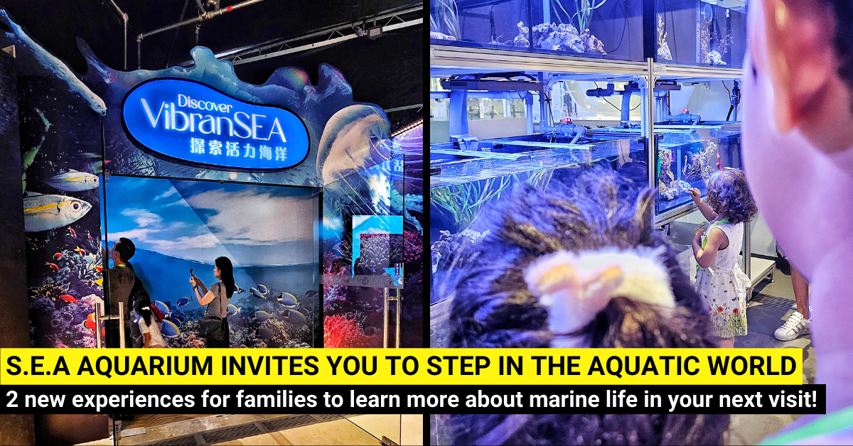 VibranSEA and the Aquarist Lab: New Immersive Experiences at the S.E.A Aquarium for Families