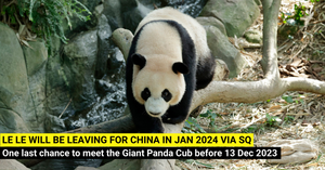 Giant Panda Le Le to Return to China in Jan 2024