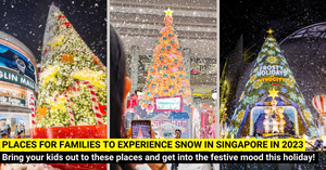 15 Places to see Snow in Singapore this Christmas Holidays!