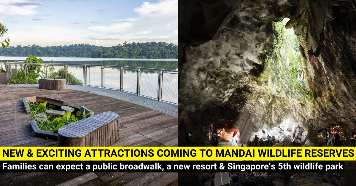 Discover New and Exciting Experience Coming to Mandai Wildlife Reserves
