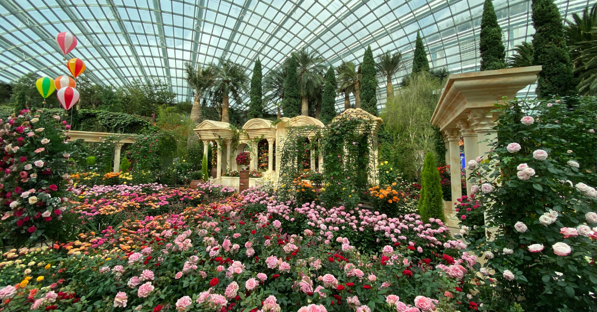 Rose Romance at Gardens by the Bay