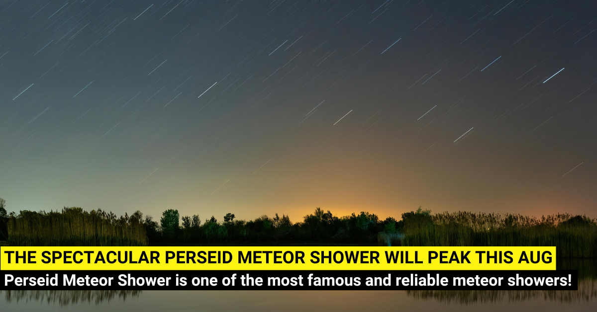 Catch the Perseid Meteor Shower in Singapore this August!