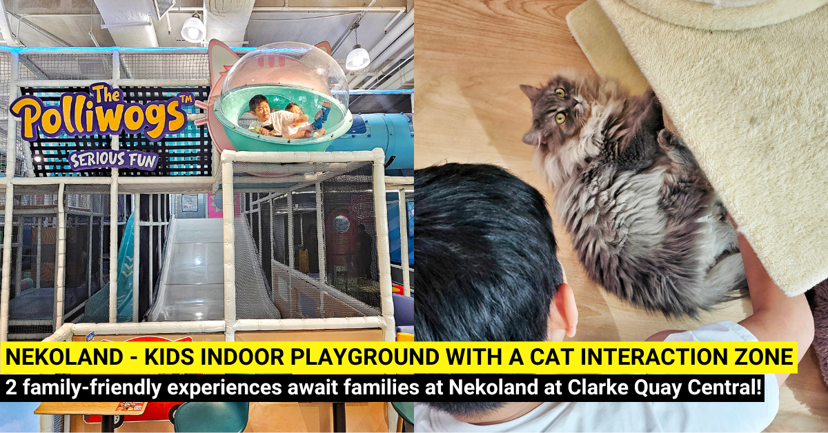 Nekoland - Kids Indoor Playground with a Cat Interaction Zone at Clarke Quay