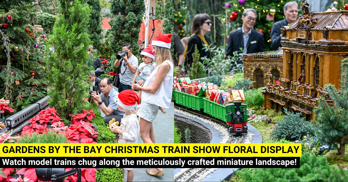 Gardens by the Bay Christmas Train Show - A Beautiful Floral Display with Model Trains