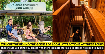 8 Tours that Bring You Behind-the-Scenes of Local Attractions
