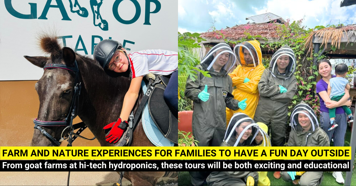15 Farms In Singapore to Visit With Your Family