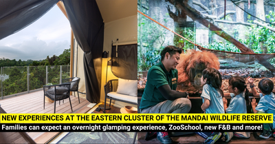 ZooSchool and Wild Overnight Stays at Colugo Camp - Adventures for Little Adventurers at Mandai Wildlife Reserve