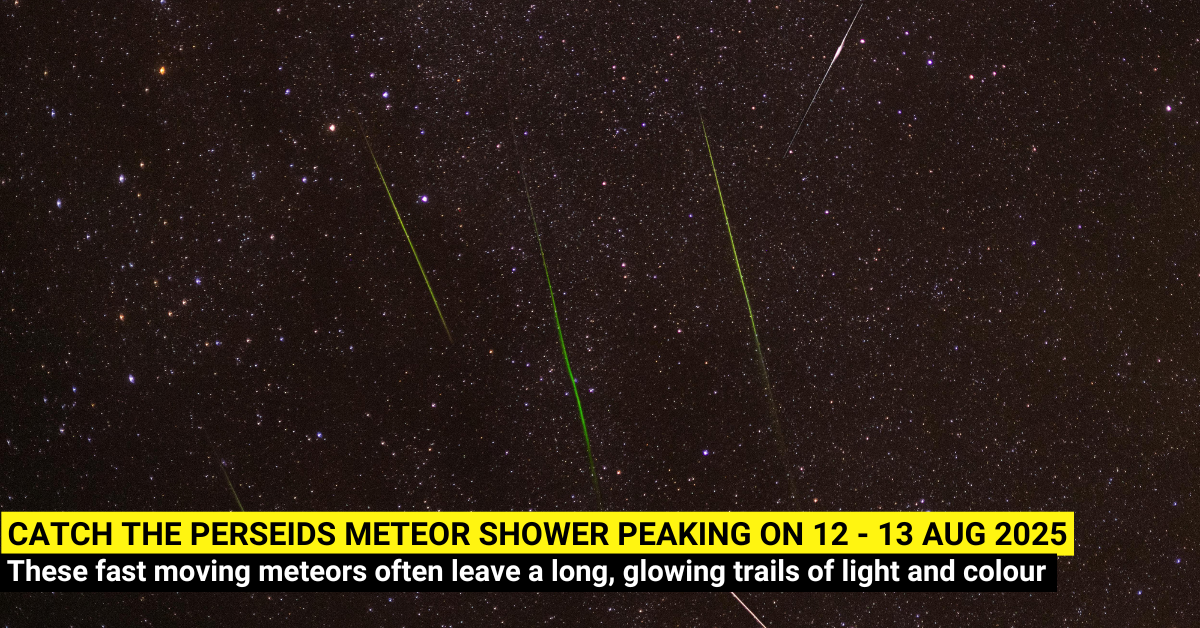 The Spectacular Perseids Meteor Shower will Peak on 12 - 13 Aug 2025