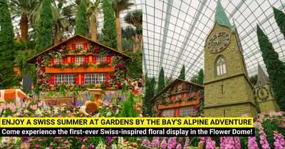 Gardens by the Bay's Alpine Adventure - A Swiss Summer Awaits Families