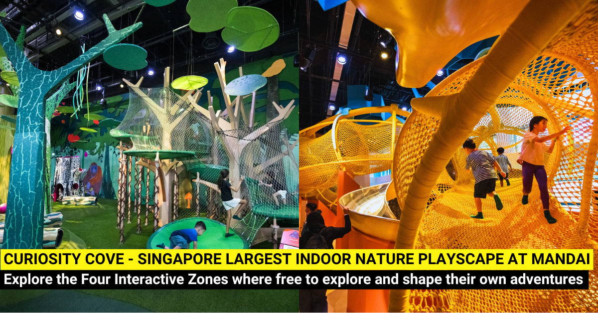 Curiosity Cove - Singapore's Largest Indoor Nature-Inspired Playscape