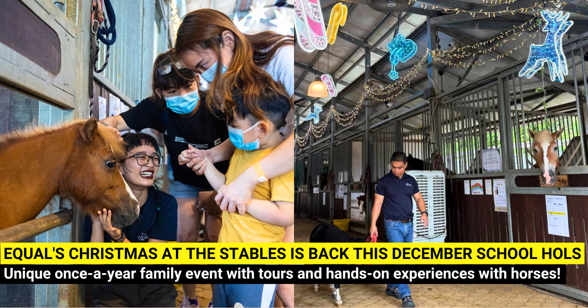Get Up-close with Horses at EQUAL's Christmas at the Stables