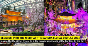 Gardens by the Bay's Sakura Floral Display 2024 - First Day-to-Night Experience