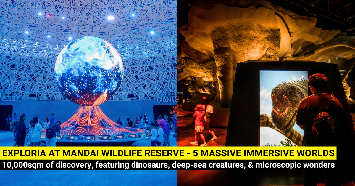 Exploria at Mandai Wildlife Reserve - 10,000sqm of Play and Nature Discovery
