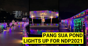 Pang Sua Pond Lights Up For National Day