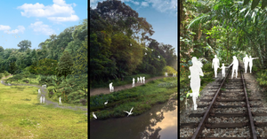 2 New Nature Trails To Open In Clementi | Link To Rail Corridor & Jurong Lake Gardens
