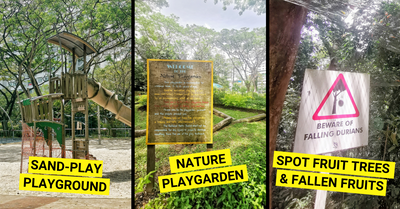 Yishun Park - Playgrounds, Nature Playgarden and More For Families!
