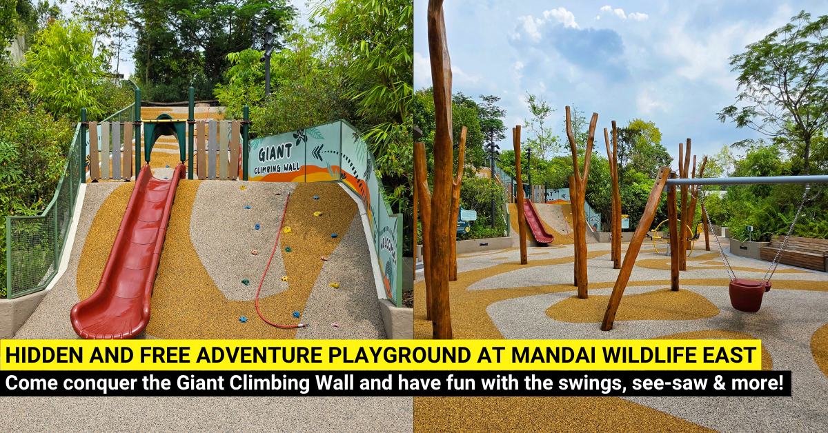 A Hidden Adventure Play Area at Mandai Wildlife EAST