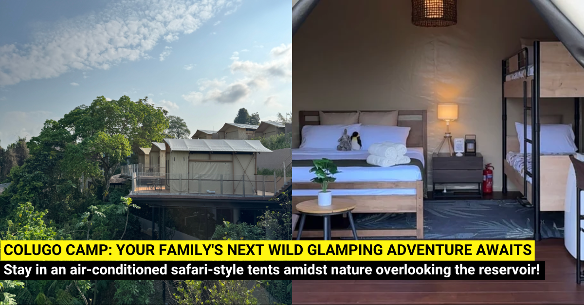 Discover Colugo Camp: Your Family's Next Wild Adventure Awaits!