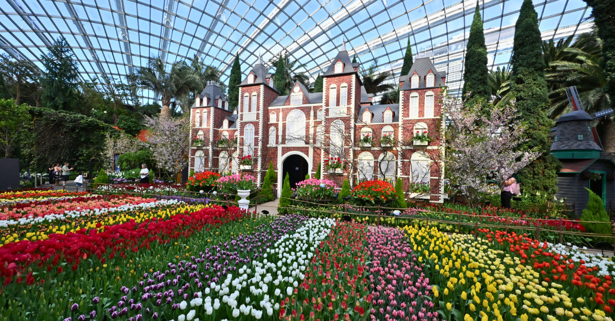 Tulipmania 2026 - Where Art and Blooms Meet