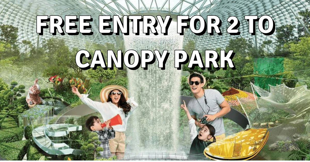 Jewel Changi Airport: Free Entry To Canopy Park For 2 With Any Purchase | Till 30 Sep 2020