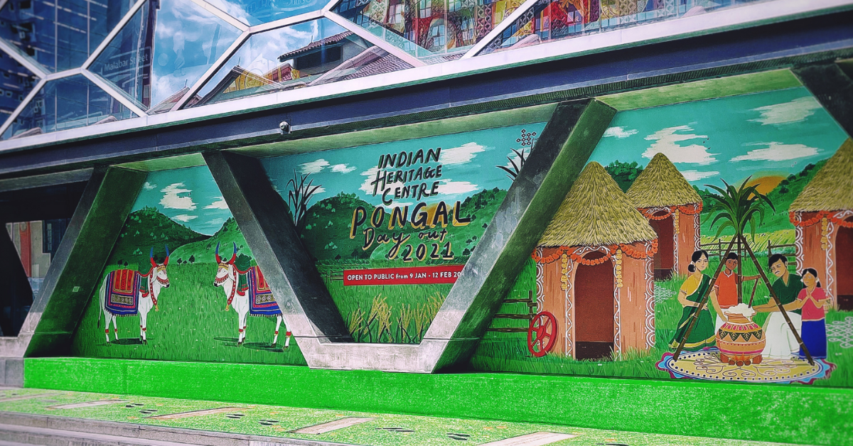 Celebrate Pongal at the Indian Heritage Centre from 9 - 17 Jan 2021!