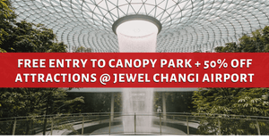Free Entry to Canopy Park @ Jewel Changi Airport + 50% Off Attractions