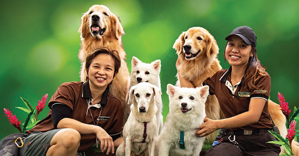 Go Behind The Scenes (Virtually) With Zoo Explained! By Wildlife Reserves Singapore