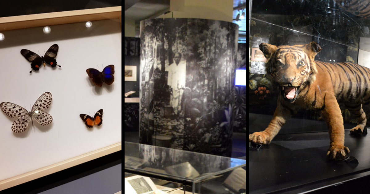 Human x Nature: Environmental Histories of Singapore @ National Library Building Singapore