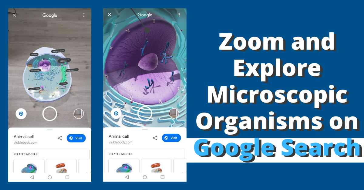 View Microscopic Organism at Home with 3D and AR in Google Search - BYKidO
