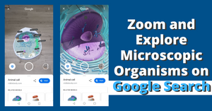 View Microscopic Organism at Home with 3D and AR in Google Search