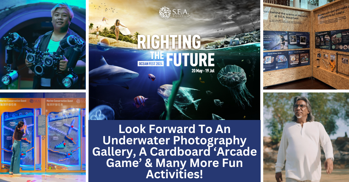Resorts World Sentosa’s S.E.A. Aquarium presents Ocean Fest 2024: Righting the Future