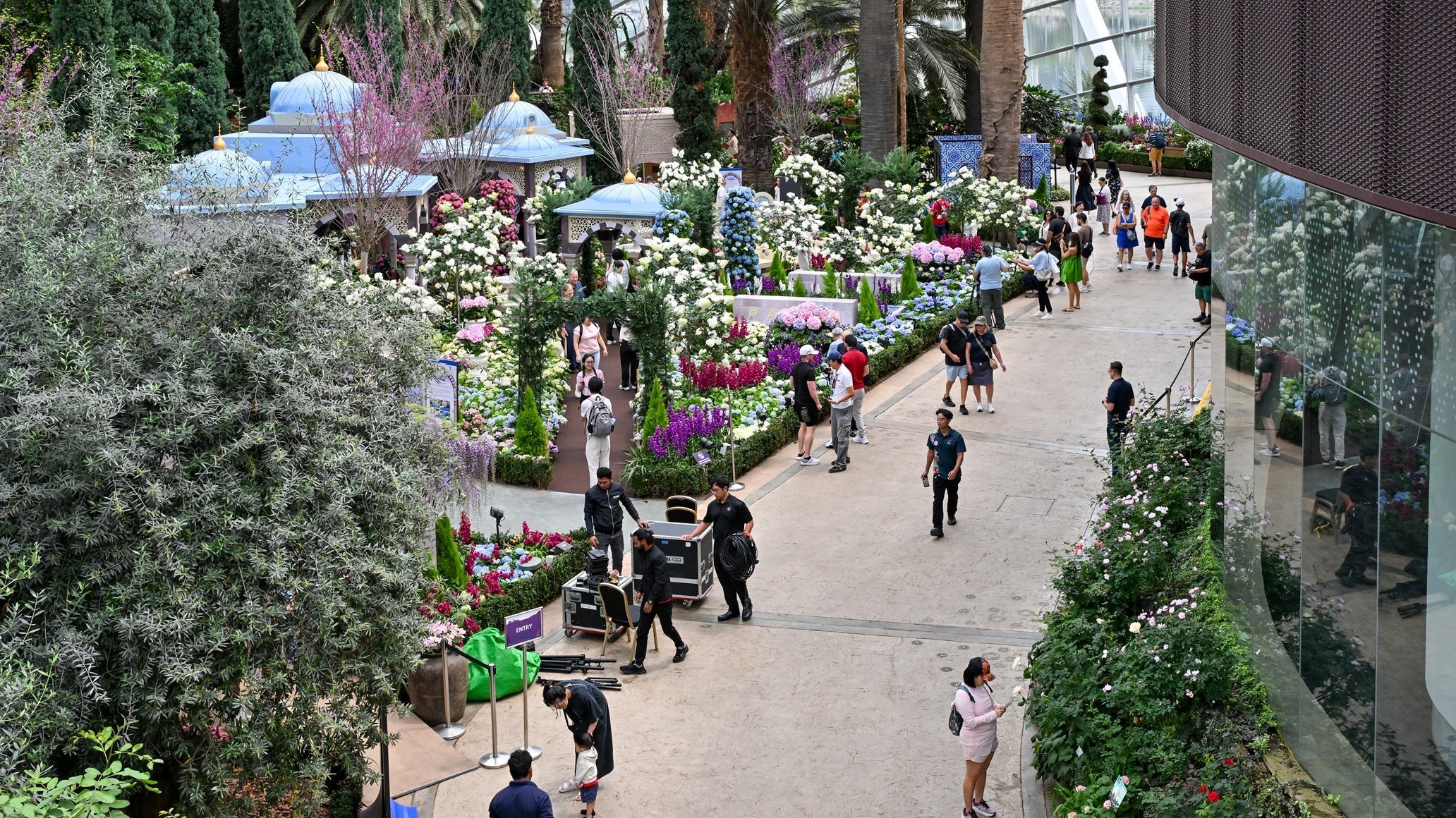 Blue Beauties - A Floral Journey Through the Ottoman Empire at Flower Dome