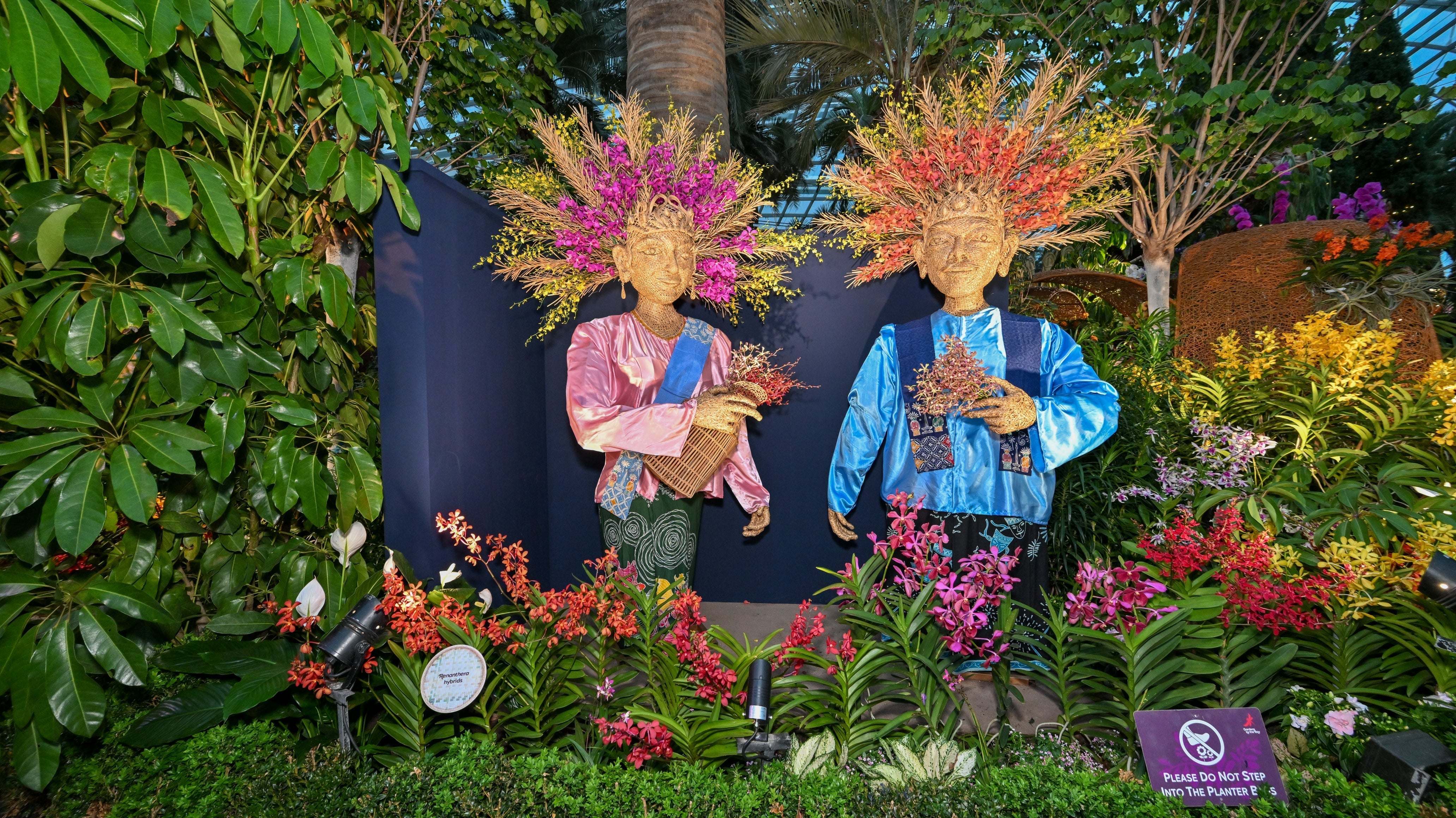 Orchid Extravaganza: Rhythm of the Rainforest - Come Discover Indonesia's Rich Rainforests and Heritage