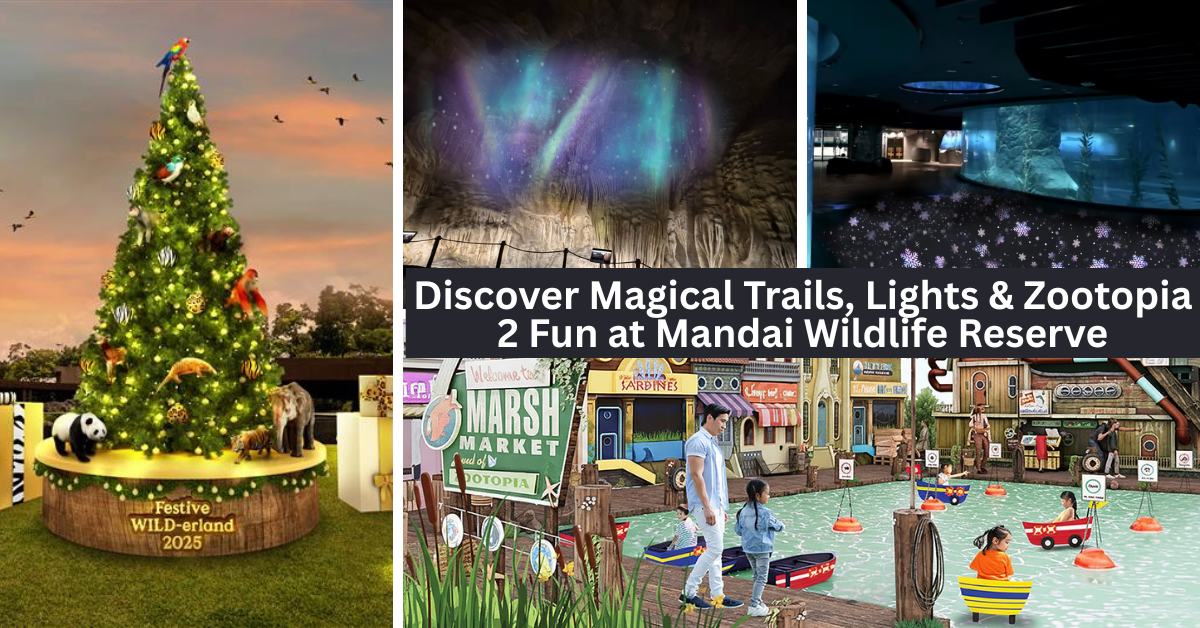 Go on a Wild Adventure Inspired by Disney’s Zootopia 2 and Celebrate Festive Wild-erland at Mandai Wildlife Reserve