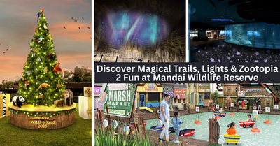 Go on a Wild Adventure Inspired by Disney’s Zootopia 2 and Celebrate Festive Wild-erland at Mandai Wildlife Reserve
