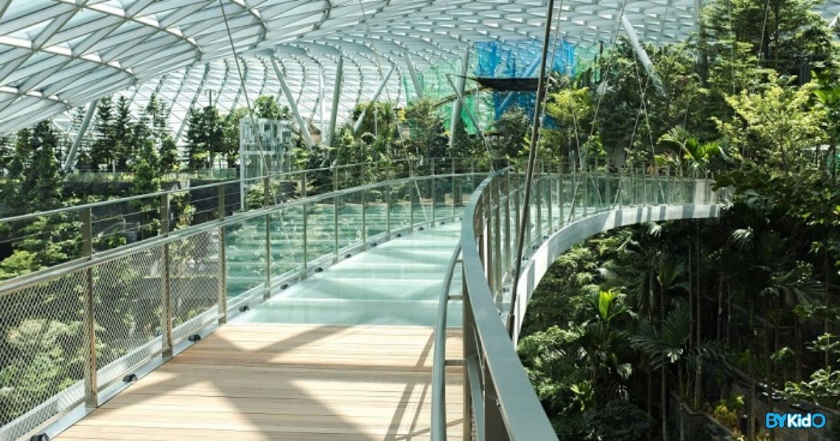 Enjoy 3 Months of Unlimited Access to Jewel Changi Airport Attractions - BYKidO