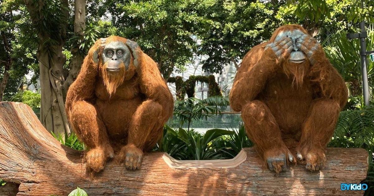 Enjoy Free Admission to Canopy Park at Jewel Changi Airport Till End of September - BYKidO