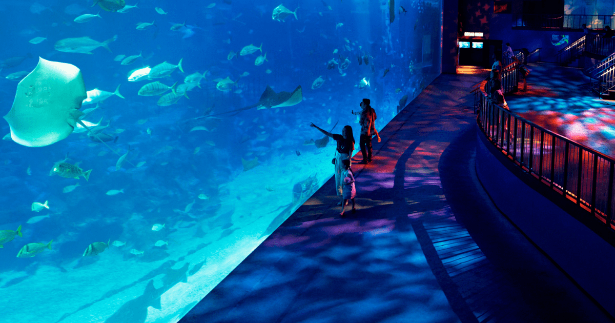 Enjoy Free Entry to Sentosa Till Year-End - BYKidO