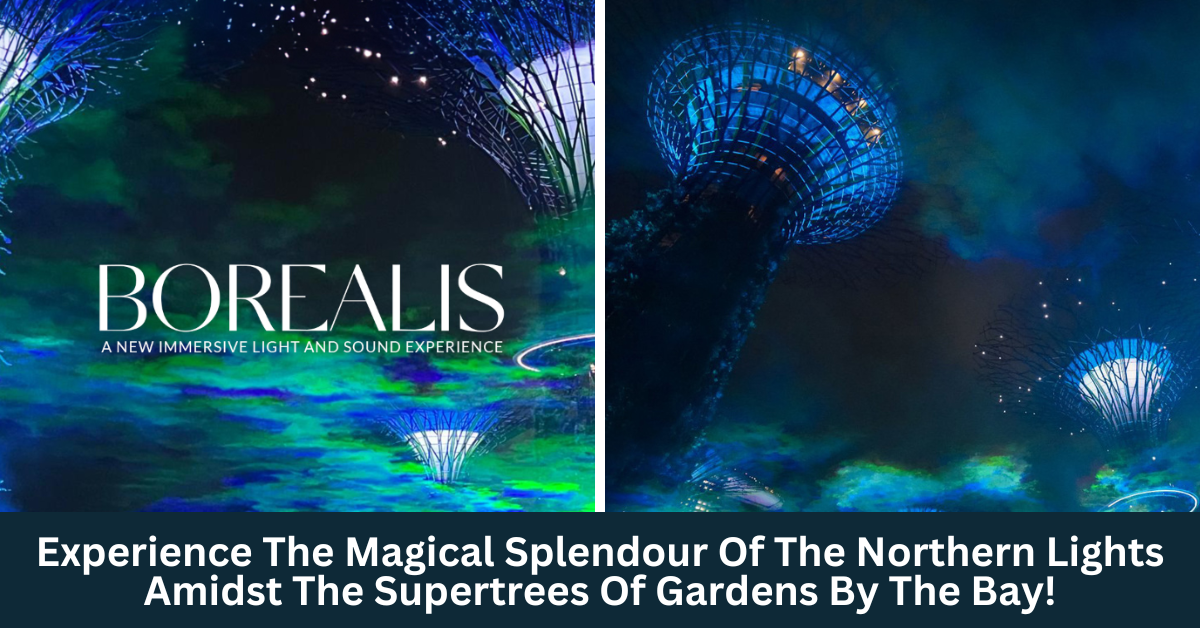 Borealis | A New Immersive Light And Sound Experience Set To Make Its Singapore Debut!