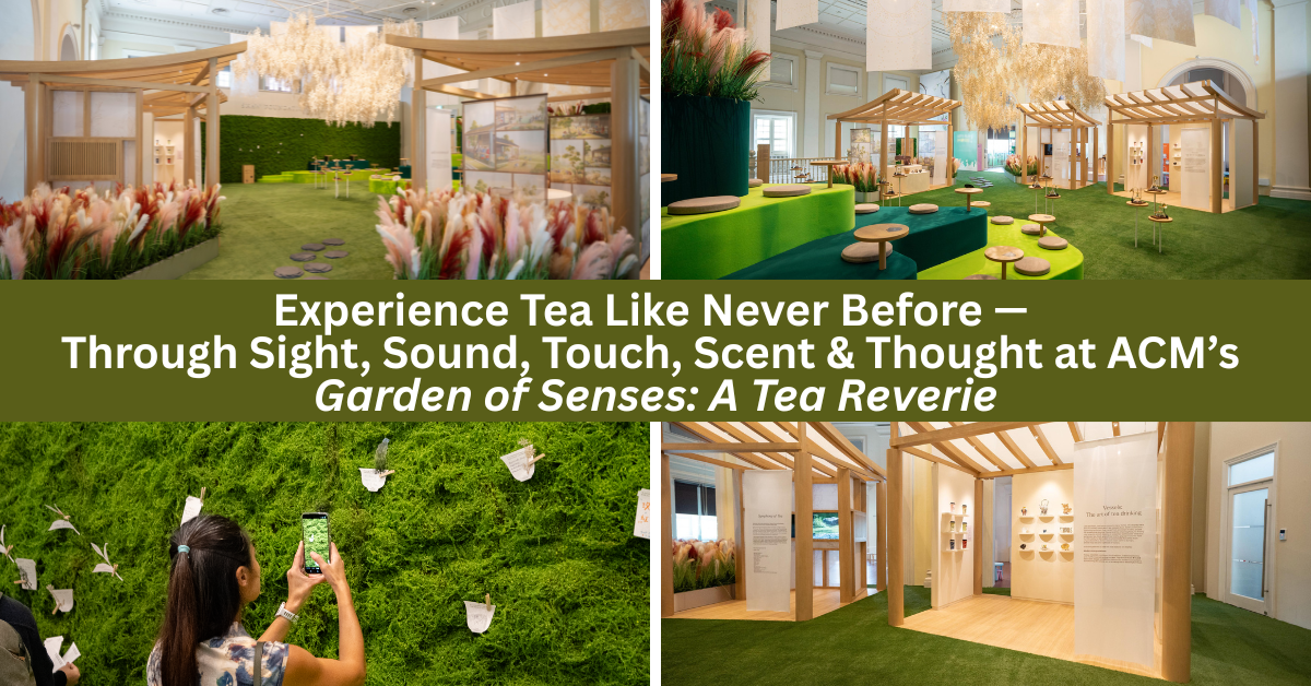 Garden of Senses: A Tea Reverie at ACM: Where Tea Becomes An Immersive Journey