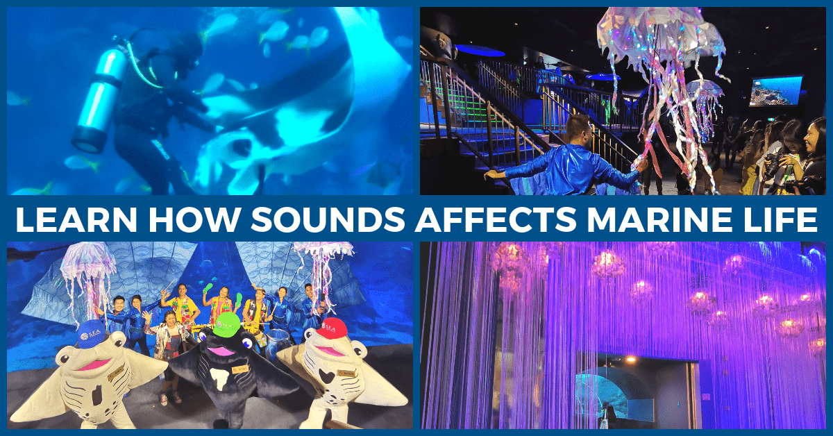 Hear the Ocean @ S.E.A Aquarium's Ocean Fest: The Noisy Ocean! | Resorts World Sentosa - BYKidO