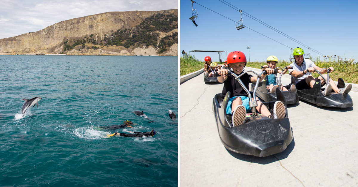 Family-friendly Attractions in New Zealand Recommended by Mr Clarke Gayford, Partner of New Zealand Prime Minister Jacinda Ardern - BYKidO